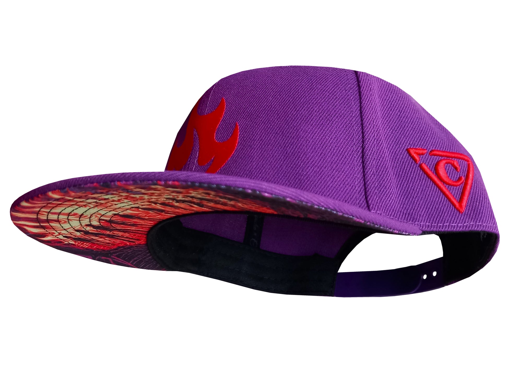 Forest Meeting Purple Snapback Cap Capiche (9) .jpg