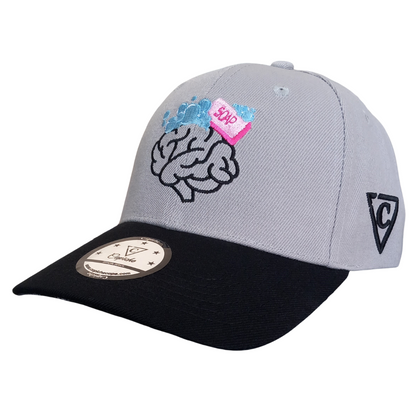 Casquette incurvée Brainwashed - Gris/Noir