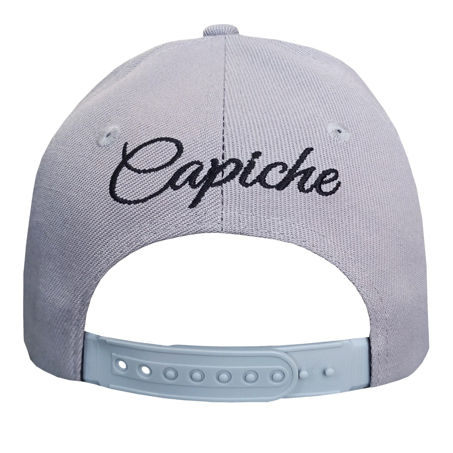 Casquette incurvée Brainwashed - Gris/Noir