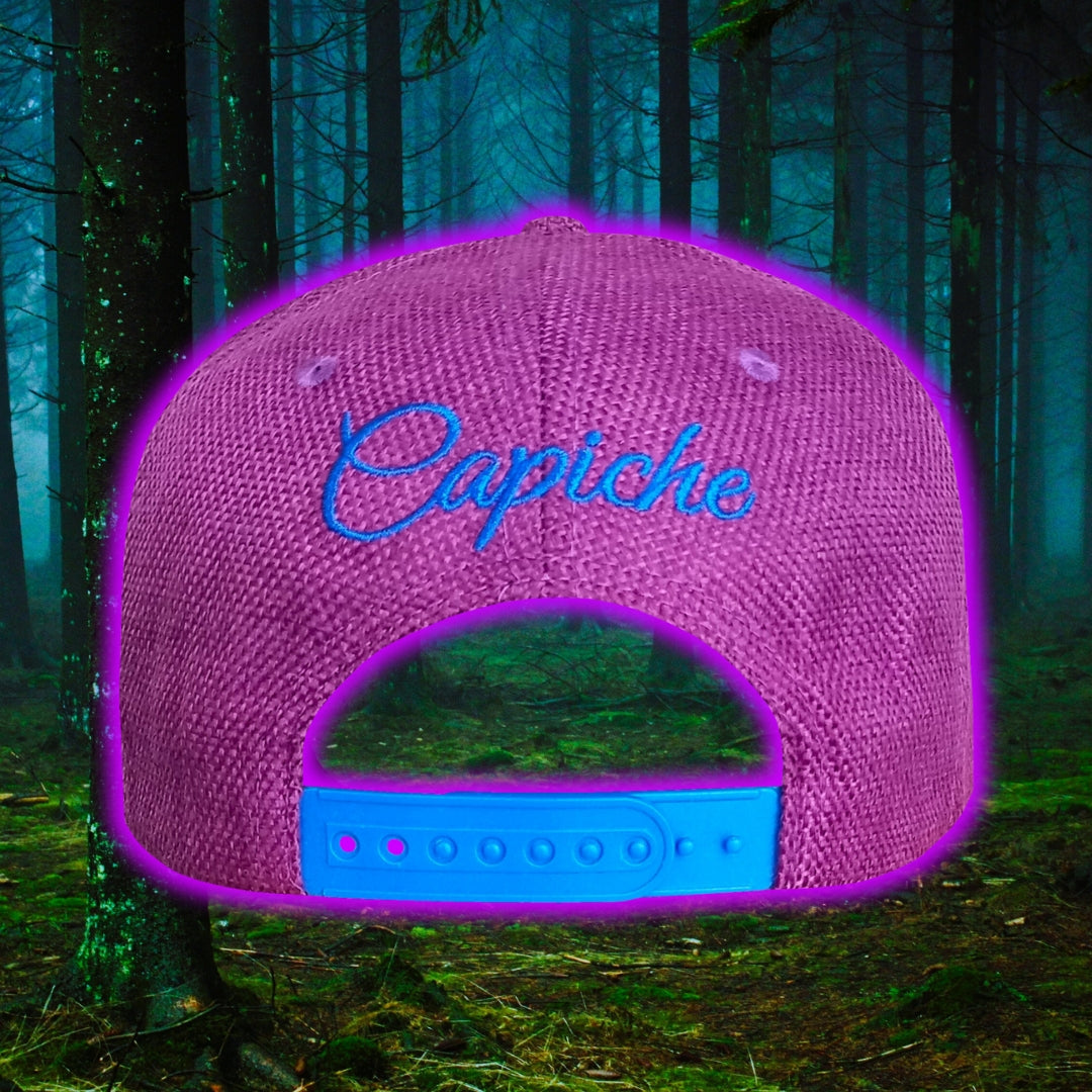 Purple Blue Thick Cotton Snapback Harry Potter Inspired from Capiche Caps