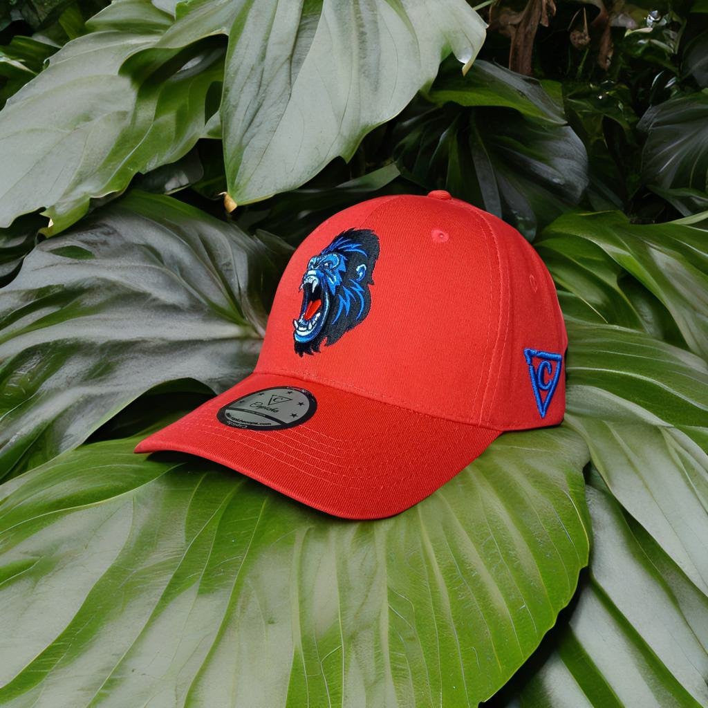 Gorilla Curved Baseball Cap - Orange - Capiche Caps All Products Released