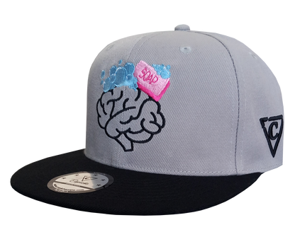 Brainwashed Snapback - Grey/Black - Capiche Caps Black