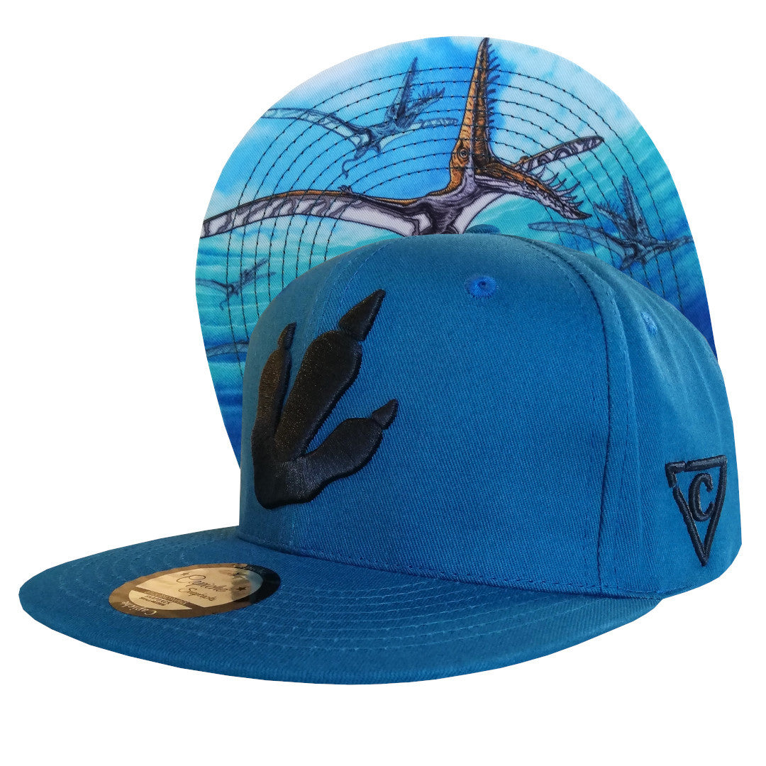 Rhamphor Snapback - Blue - Capiche Caps Snapback