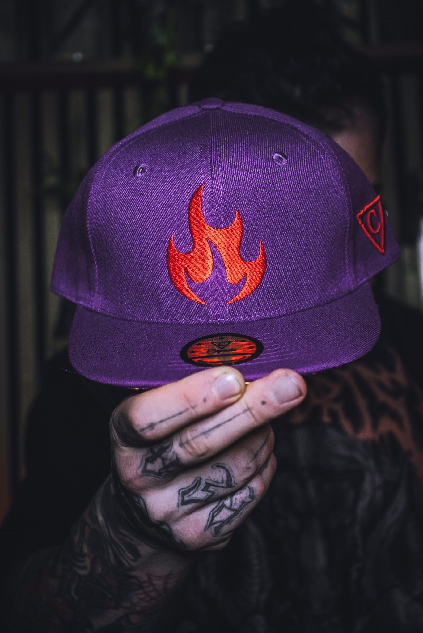 Forest Meeting Purple Snapback Cap Capiche (3).jpg