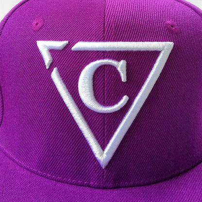 Capiche Colored Safari Purple Snapback Cap (6).jpg