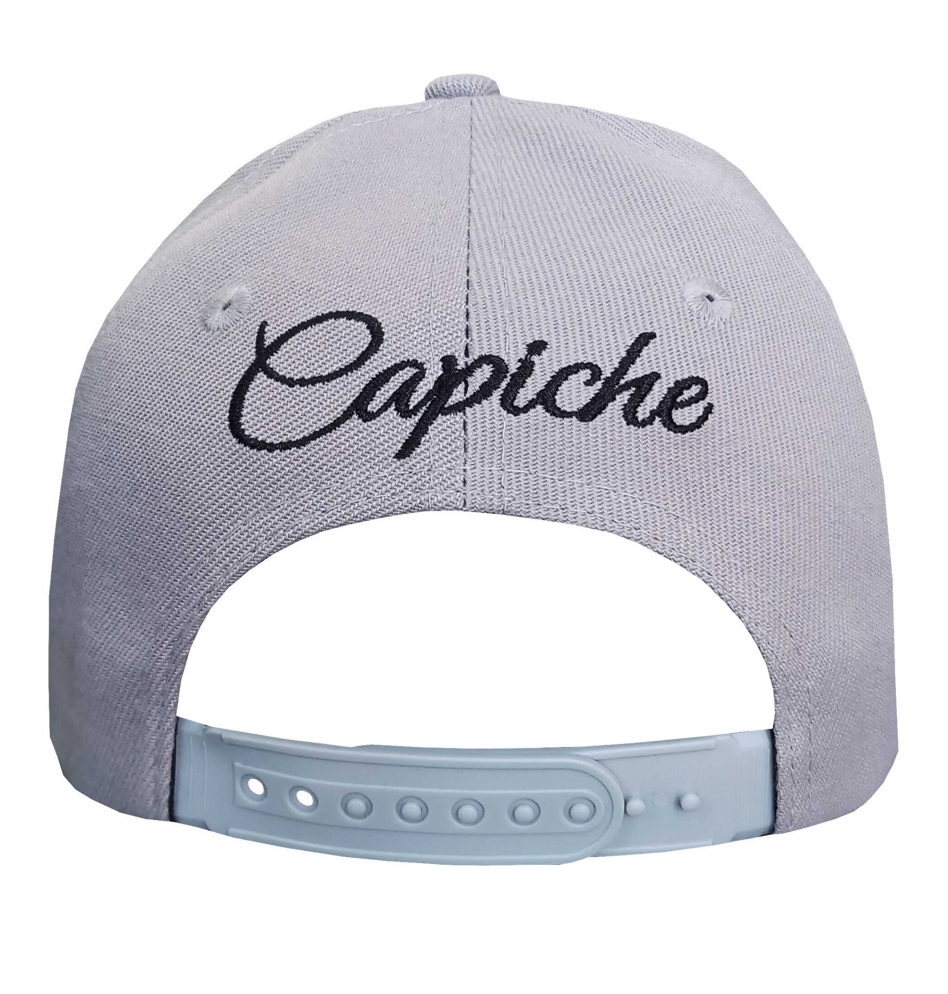 Brainwashed Curved Cap - Grey/Black - Capiche Caps Best Sellers