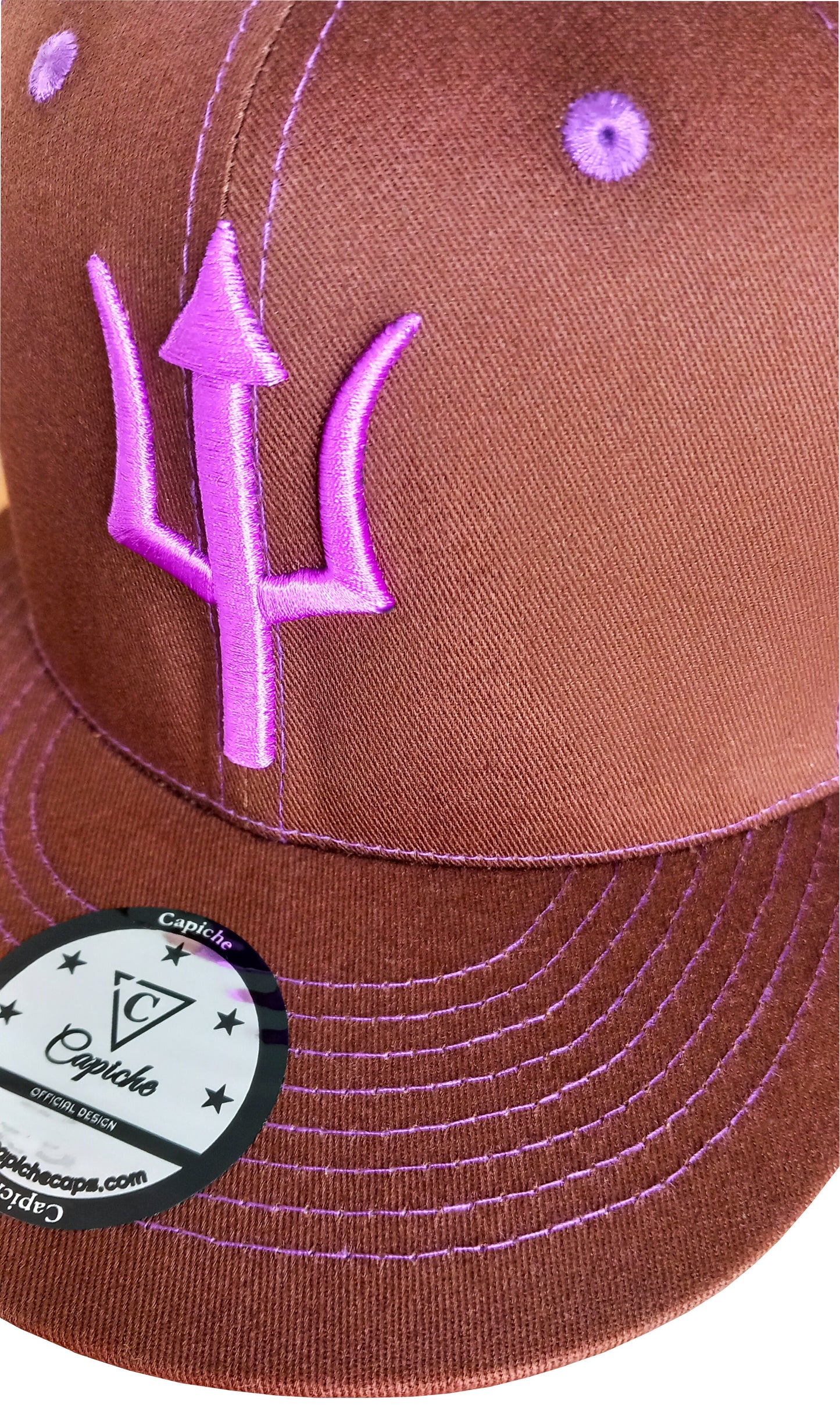 Brown Snapback Baseball Cap Argus Ancient Greek Mythology Purple Triden Logo from Capiche 