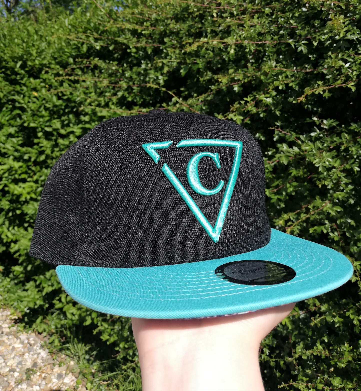 Animix Snapback - Black/Aqua - Capiche Caps Black