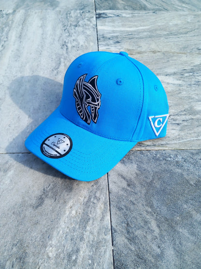 Njord Curved Baseball Cap - Blue - Capiche Caps Norse Mythology