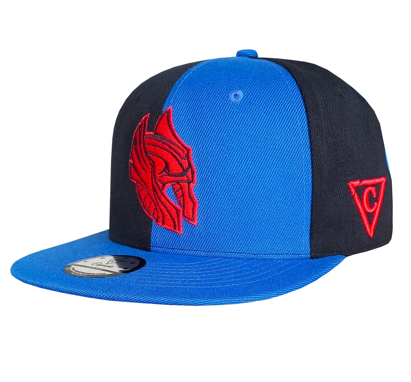 Snapback Half Blue Half Black Colored Panels 50 50 Odin Norse Mythology (6).jpg