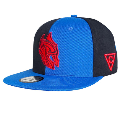 Snapback Half Blue Half Black Colored Panels 50 50 Odin Norse Mythology (6).jpg