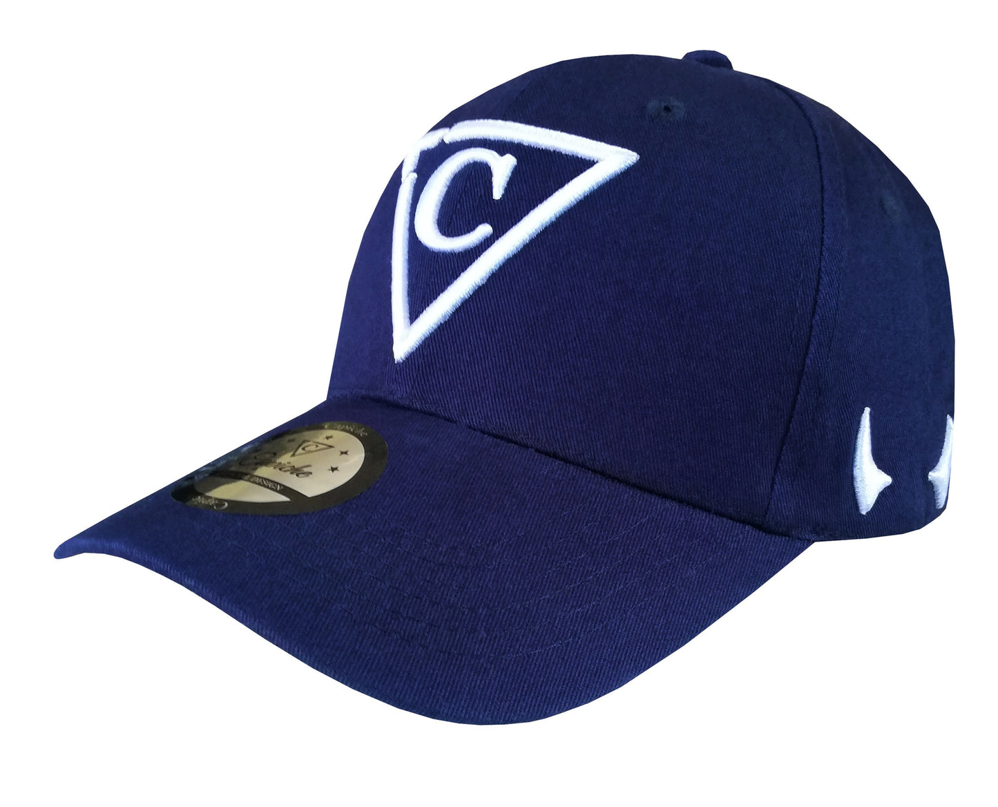 Haunted Place Curved Baseball Cap - Dark Blue - Capiche Caps Curved Cap