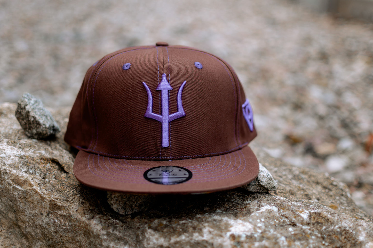 Brown Snapback Baseball Cap Argus Ancient Greek Mythology Purple Triden Logo from Capiche 